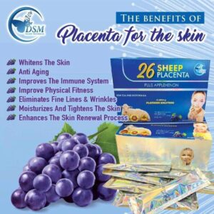 26 Placenta de mouton