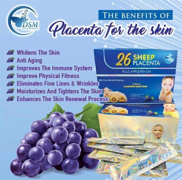 26 Placenta de mouton